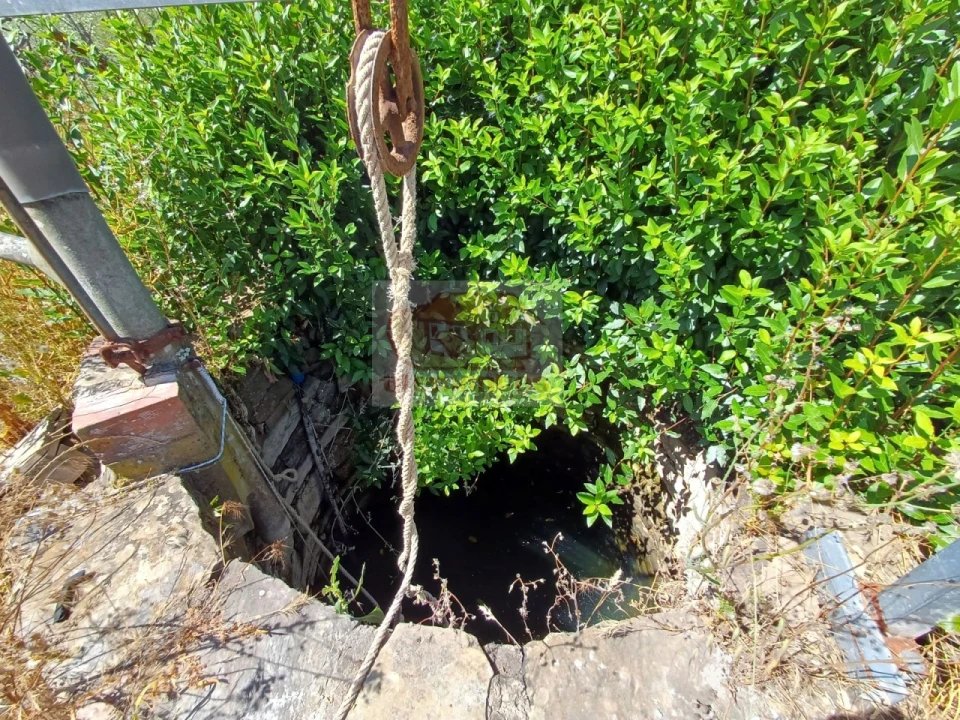 Quinta T3 para Venda em Abela Foto 2