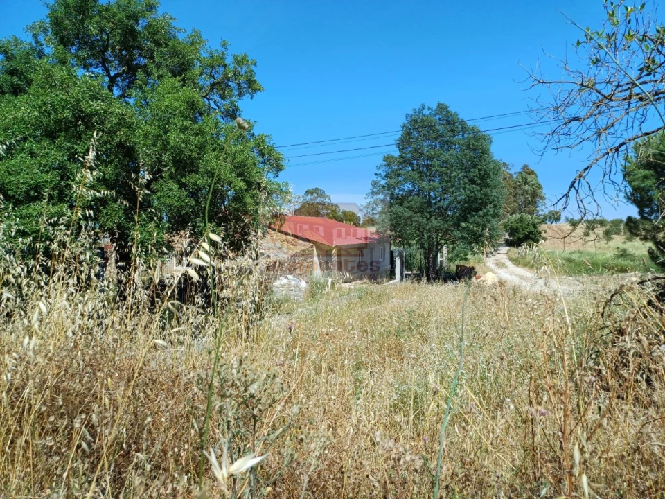 Quinta T3 para Venda em Abela Foto 18