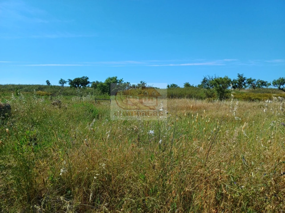 Quinta T3 para Venda em Abela Foto 19