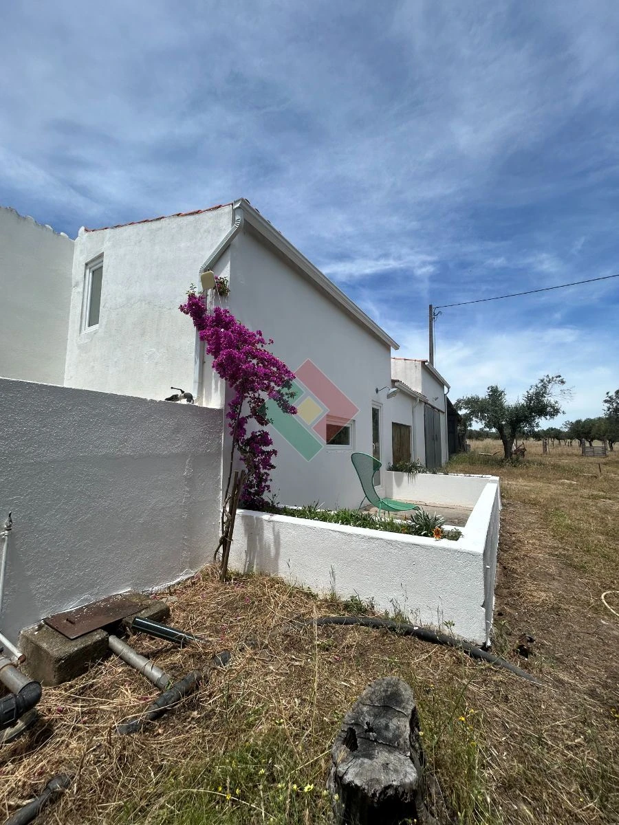 Quinta T1 para Venda em Nossa Senhora da Graça de Povoa e Meadas Foto 5