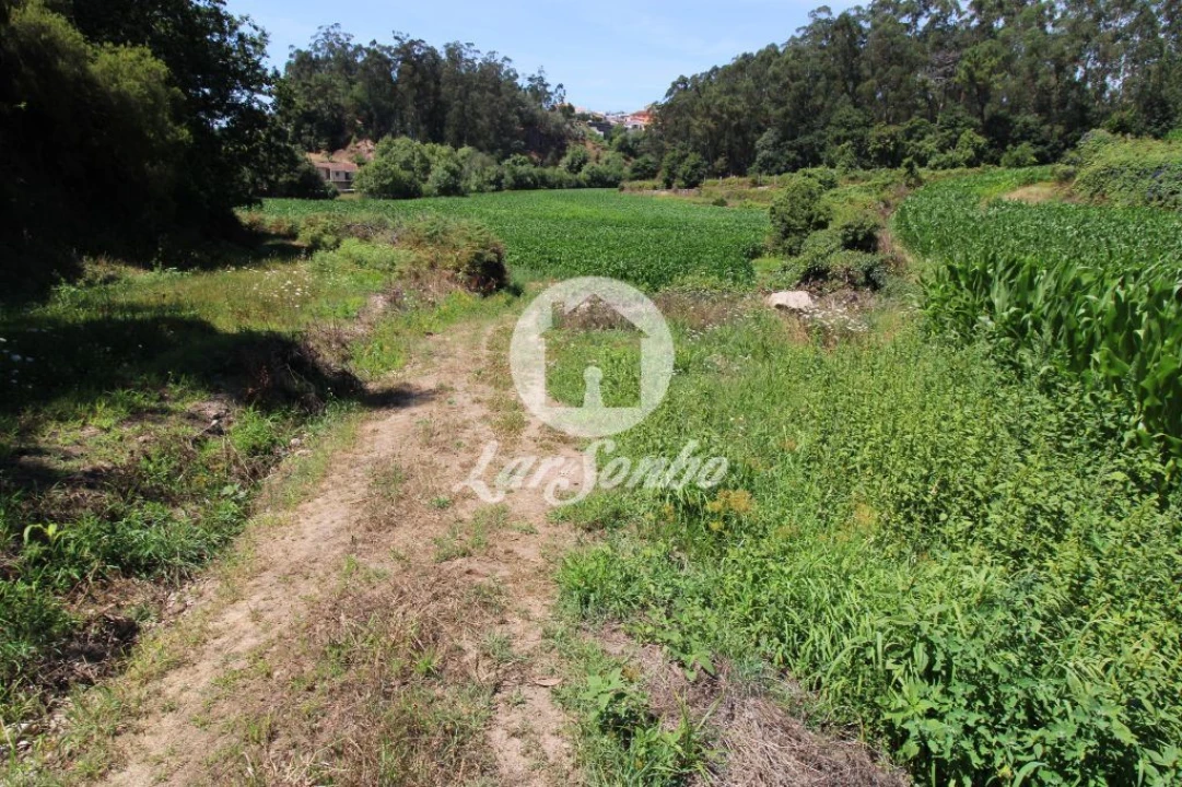 Terreno Agricola ou Rústico para Venda em Junqueira Foto 3