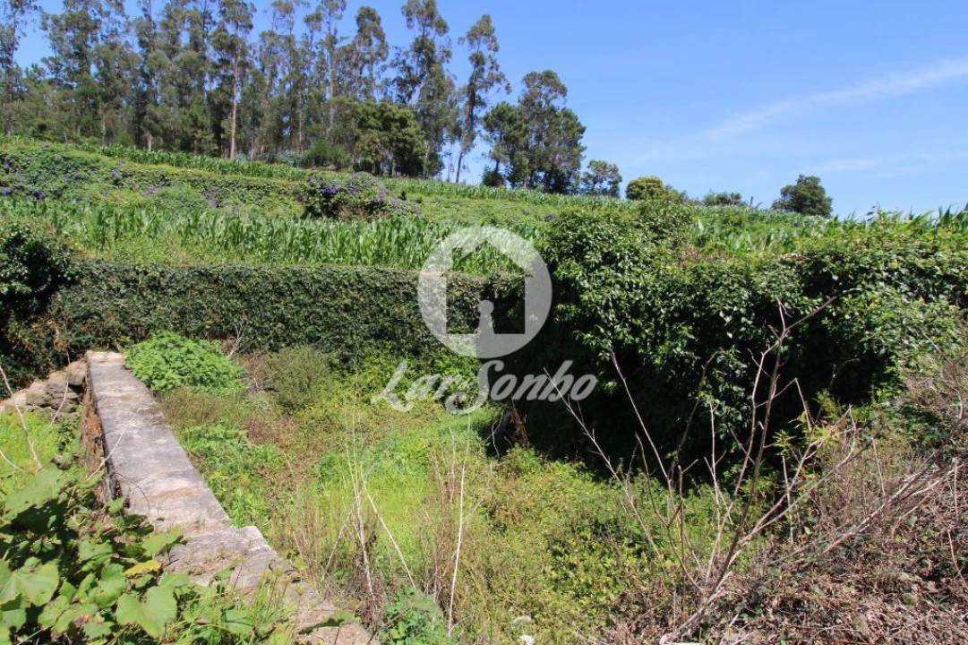 Terreno Agricola ou Rústico para Venda em Junqueira Foto 6
