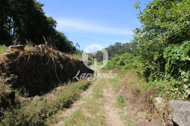 Terreno Agricola ou Rústico para Venda em Junqueira Foto 1