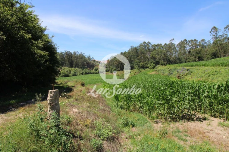 Terreno Agricola ou Rústico para Venda em Junqueira Foto 2