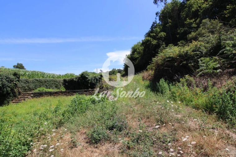 Terreno Agricola ou Rústico para Venda em Junqueira Foto 4