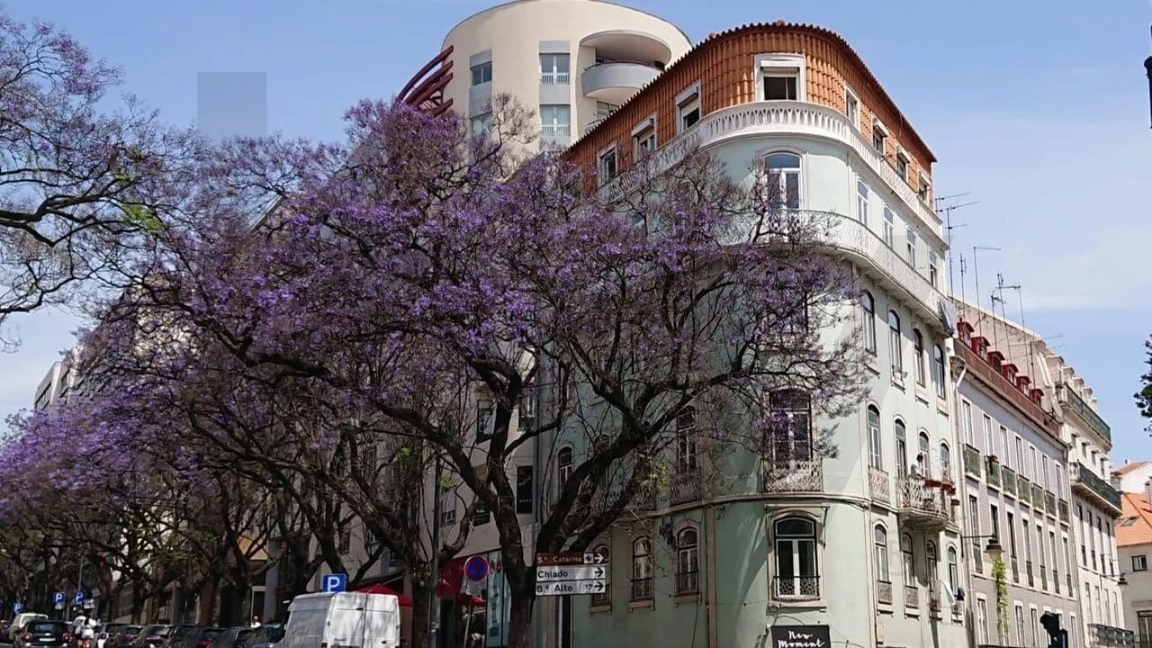 Apartamento T2 para Venda em Misericórdia Foto 1