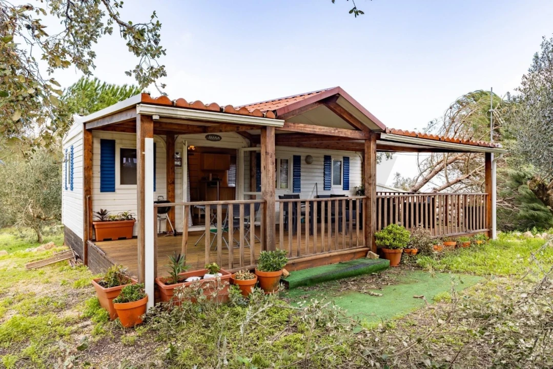 Quinta T2 para Venda em Santa Catarina da Serra e Chainça Foto 15