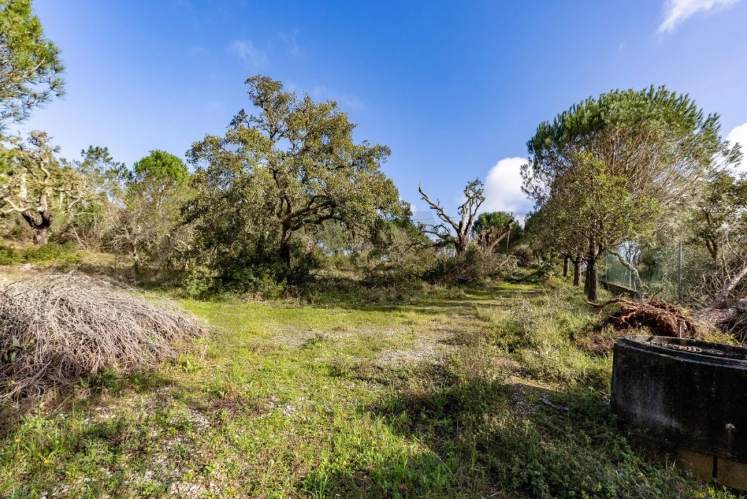 Quinta T2 para Venda em Santa Catarina da Serra e Chainça Foto 20
