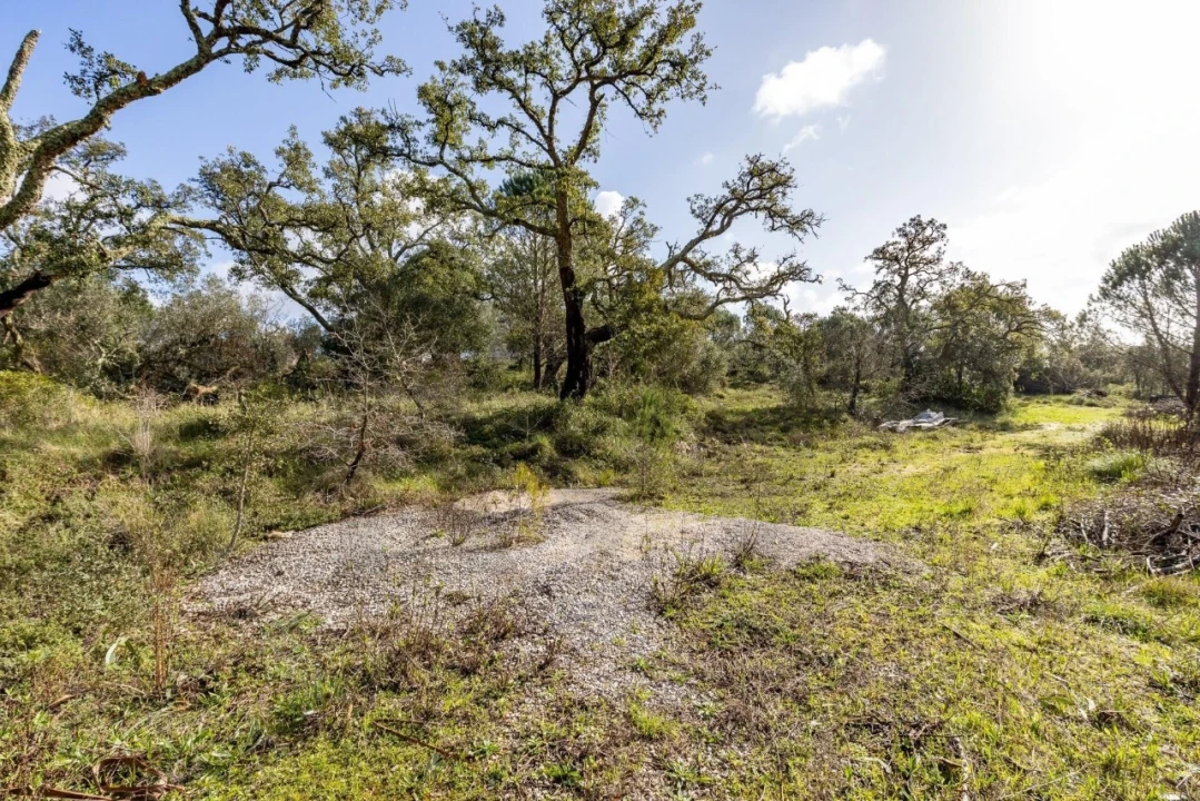 Quinta T2 para Venda em Santa Catarina da Serra e Chainça Foto 22