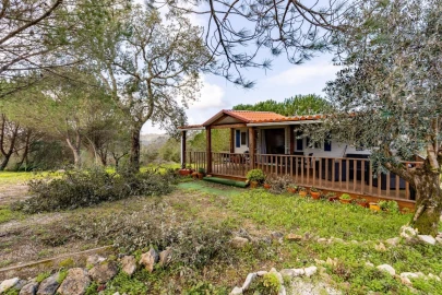 Quinta T2 para Venda em Santa Catarina da Serra e Chainça