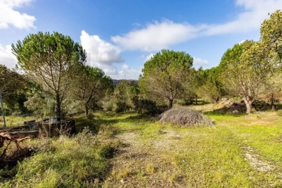 Quinta T2 para Venda em Santa Catarina da Serra e Chainça