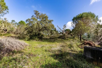 Quinta T2 para Venda em Santa Catarina da Serra e Chainça