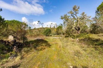 Quinta T2 para Venda em Santa Catarina da Serra e Chainça