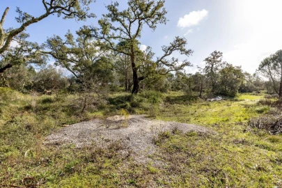 Quinta T2 para Venda em Santa Catarina da Serra e Chainça