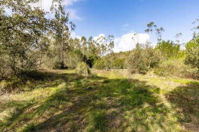 Quinta T2 para Venda em Santa Catarina da Serra e Chainça