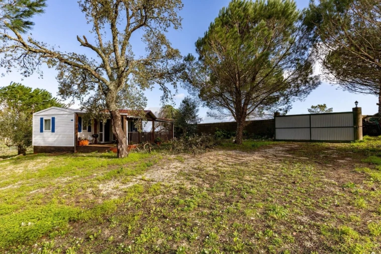 Quinta T2 para Venda em Santa Catarina da Serra e Chainça Foto 18