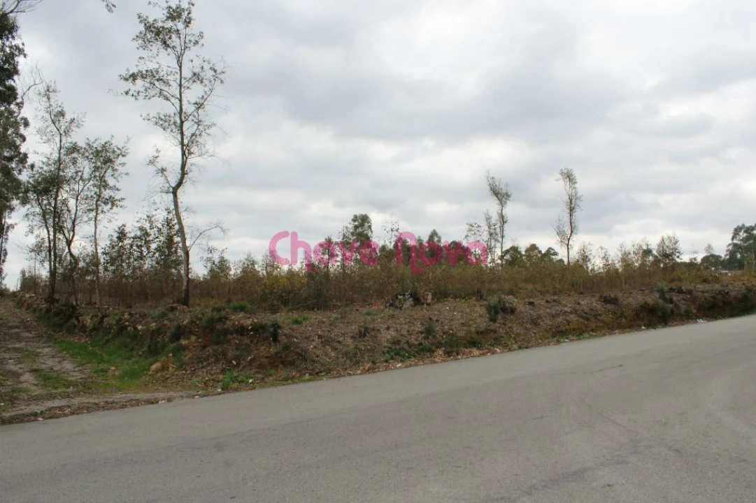 Terreno para Venda em Argoncilhe Foto 1