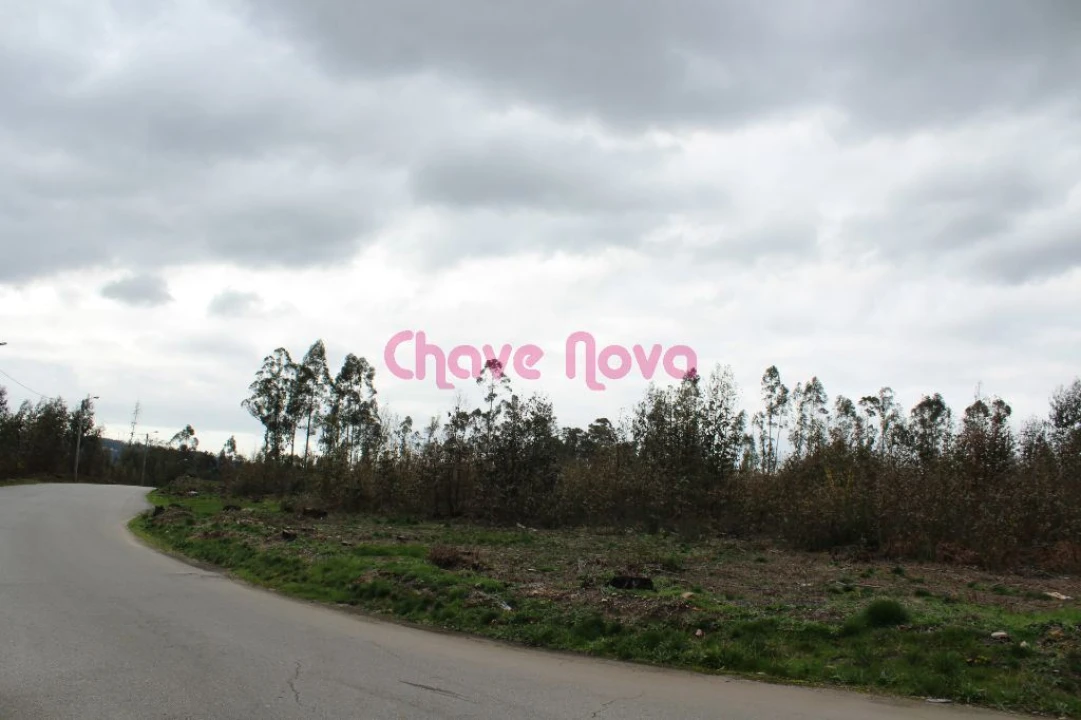 Terreno para Venda em Argoncilhe Foto 4