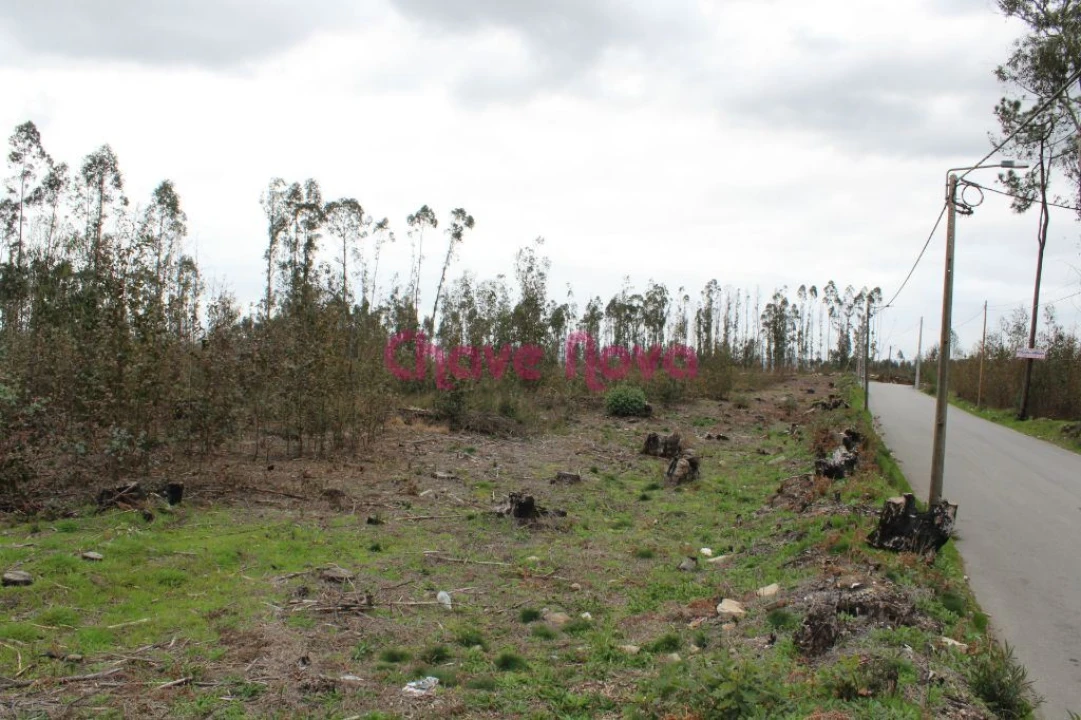 Terreno para Venda em Argoncilhe Foto 6