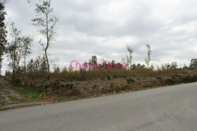 Terreno para Venda em Argoncilhe