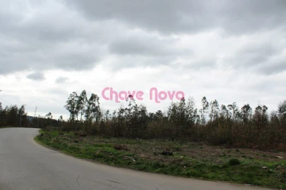 Terreno para Venda em Argoncilhe