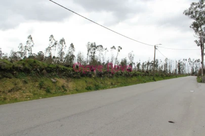 Terreno para Venda em Argoncilhe