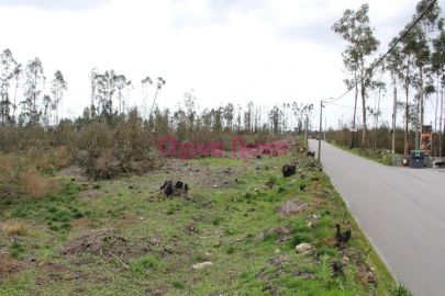 Terreno para Venda em Argoncilhe