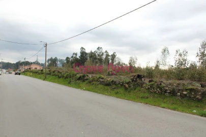 Terreno para Venda em Argoncilhe