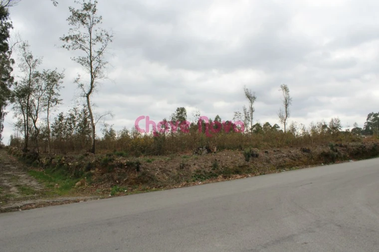 Terreno para Venda em Argoncilhe