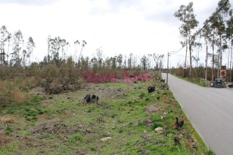 Terreno para Venda em Argoncilhe Foto 8