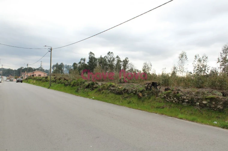 Terreno para Venda em Argoncilhe Foto 9