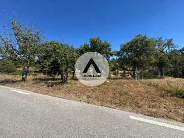 Terreno para Venda em Sobreira Formosa e Alvito da Beira