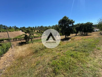 Terreno para Venda em Sobreira Formosa e Alvito da Beira
