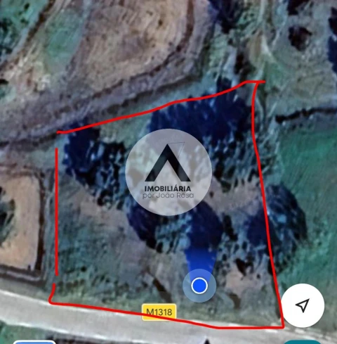 Terreno para Venda em Sobreira Formosa e Alvito da Beira