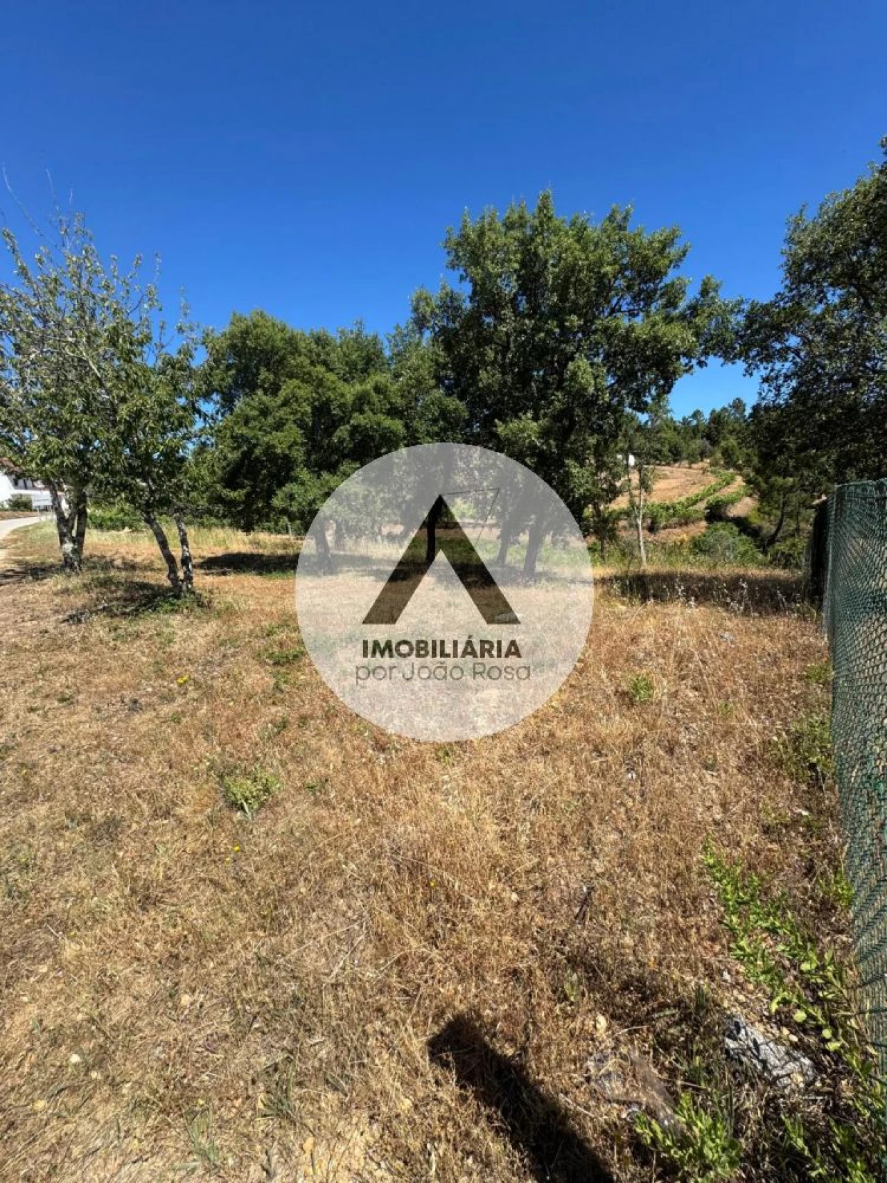Terreno para Venda em Sobreira Formosa e Alvito da Beira Foto 10