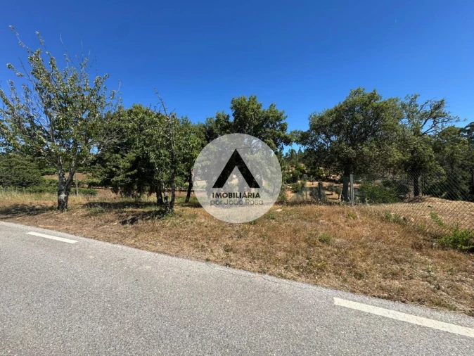 Terreno para Venda em Sobreira Formosa e Alvito da Beira Foto 4