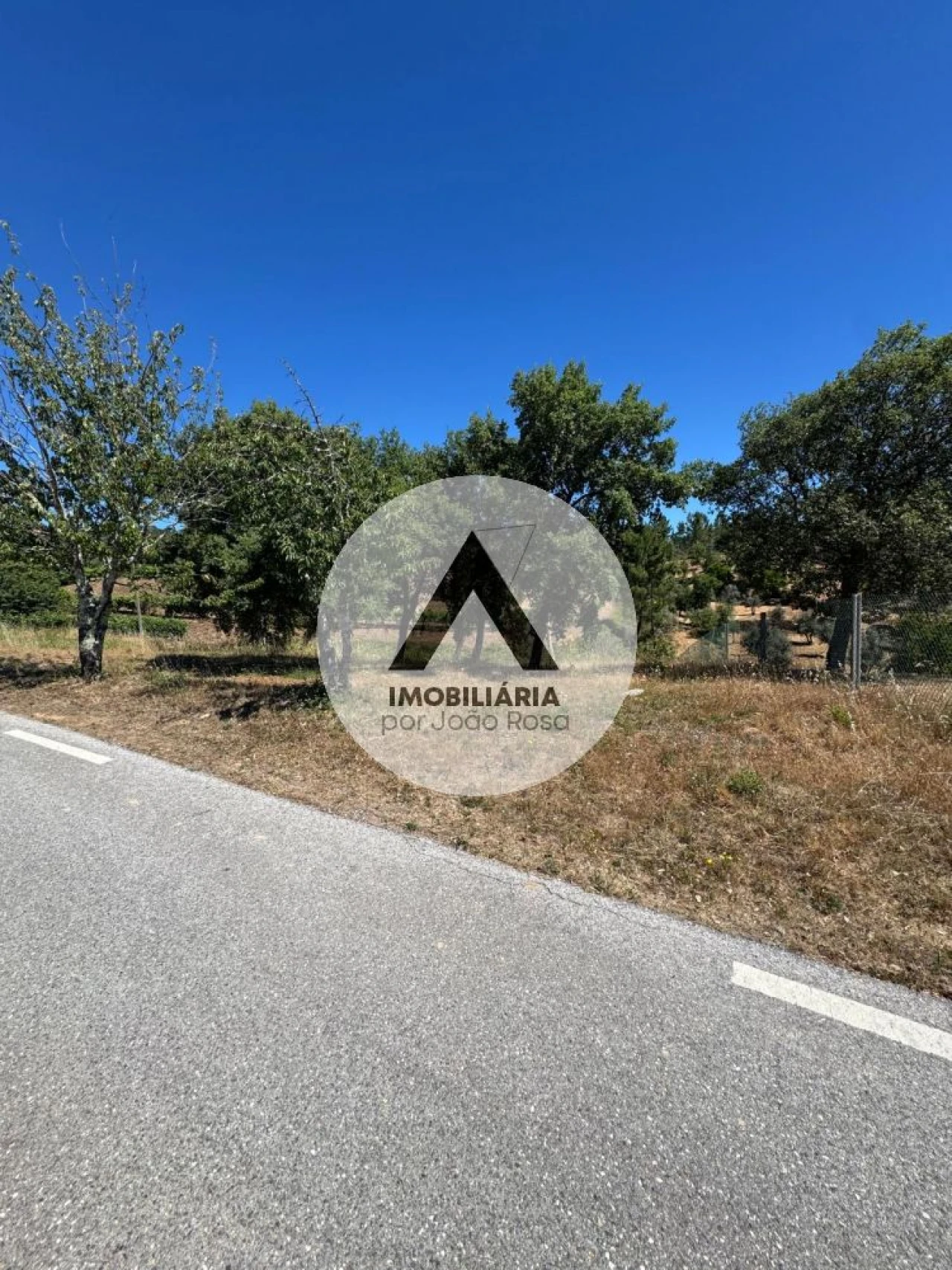 Terreno para Venda em Sobreira Formosa e Alvito da Beira Foto 3