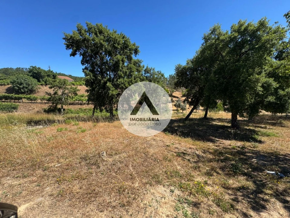 Terreno para Venda em Sobreira Formosa e Alvito da Beira Foto 5
