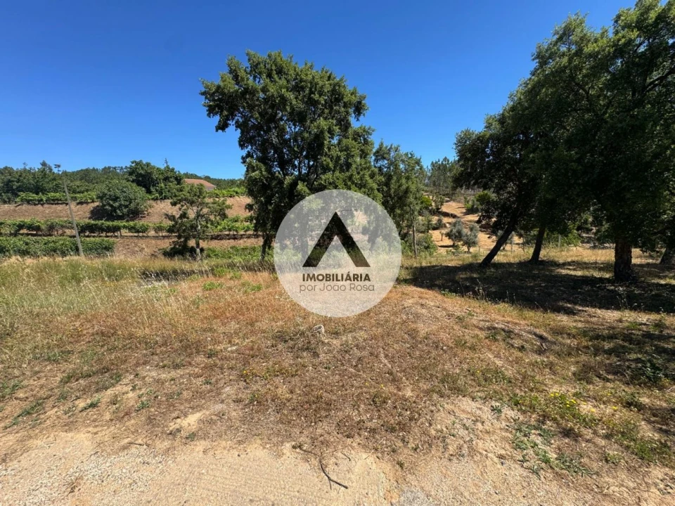 Terreno para Venda em Sobreira Formosa e Alvito da Beira Foto 11