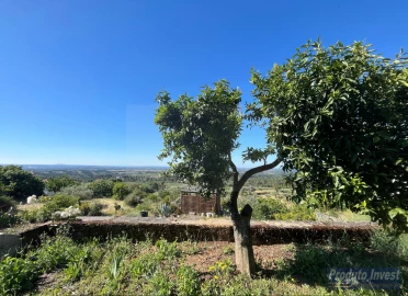 Moradia T2 para Venda em Vale de Prazeres e Mata da Rainha