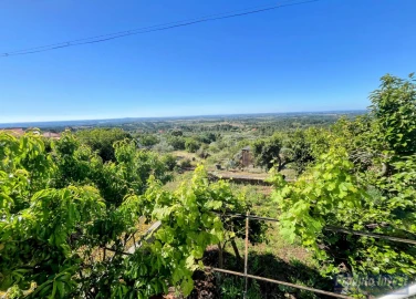 Moradia T2 para Venda em Vale de Prazeres e Mata da Rainha