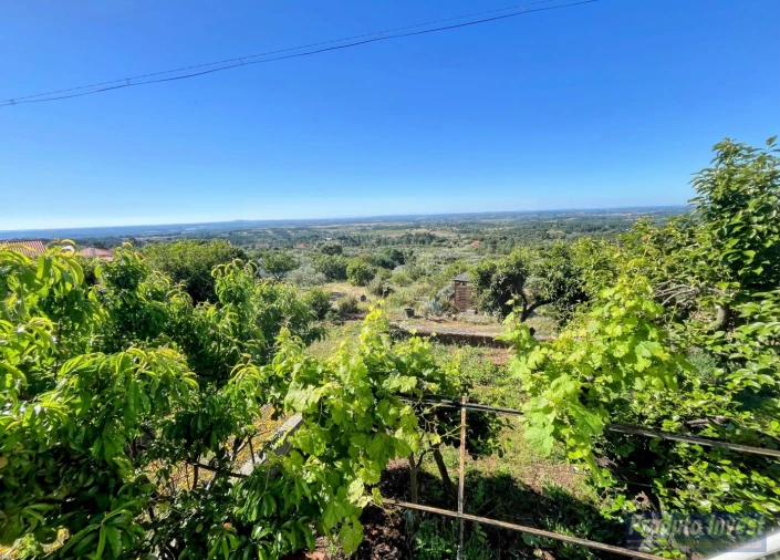 Moradia T2 para Venda em Vale de Prazeres e Mata da Rainha Foto 25