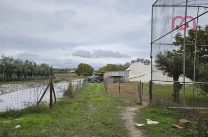 Loja para Venda em Nossa Senhora da Conceição e São Bartolomeu