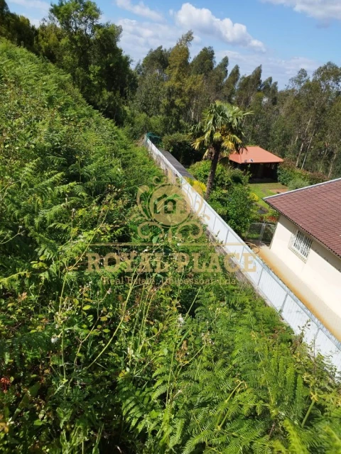 Terreno para Venda em Caldas de São Jorge e Pigeiros