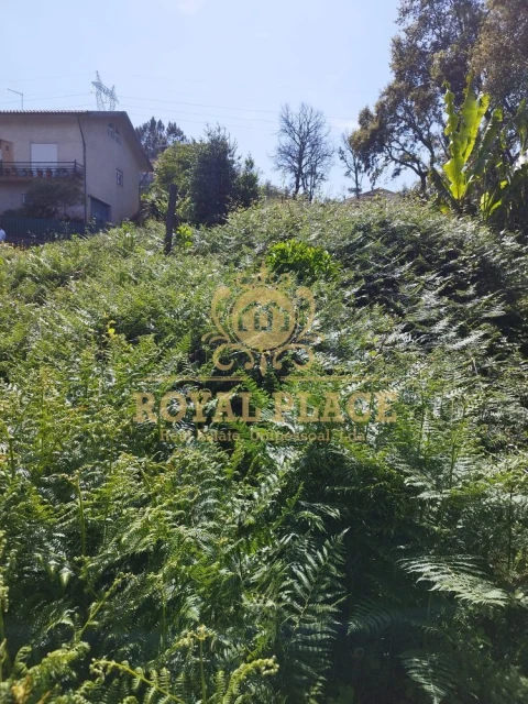 Terreno para Venda em Caldas de São Jorge e Pigeiros