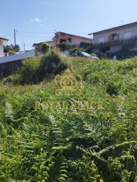 Terreno para Venda em Caldas de São Jorge e Pigeiros