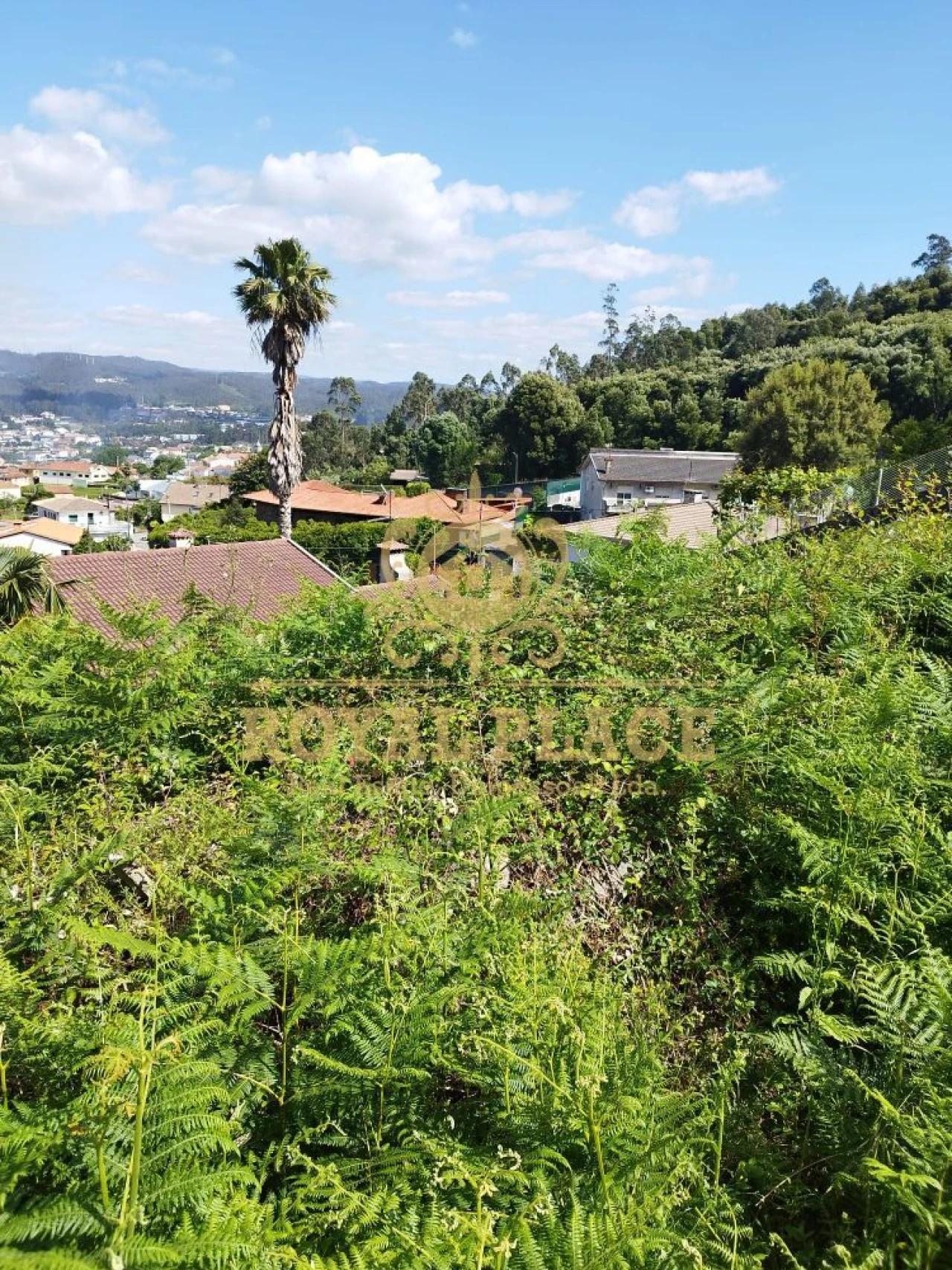 Terreno para Venda em Caldas de São Jorge e Pigeiros Foto 4