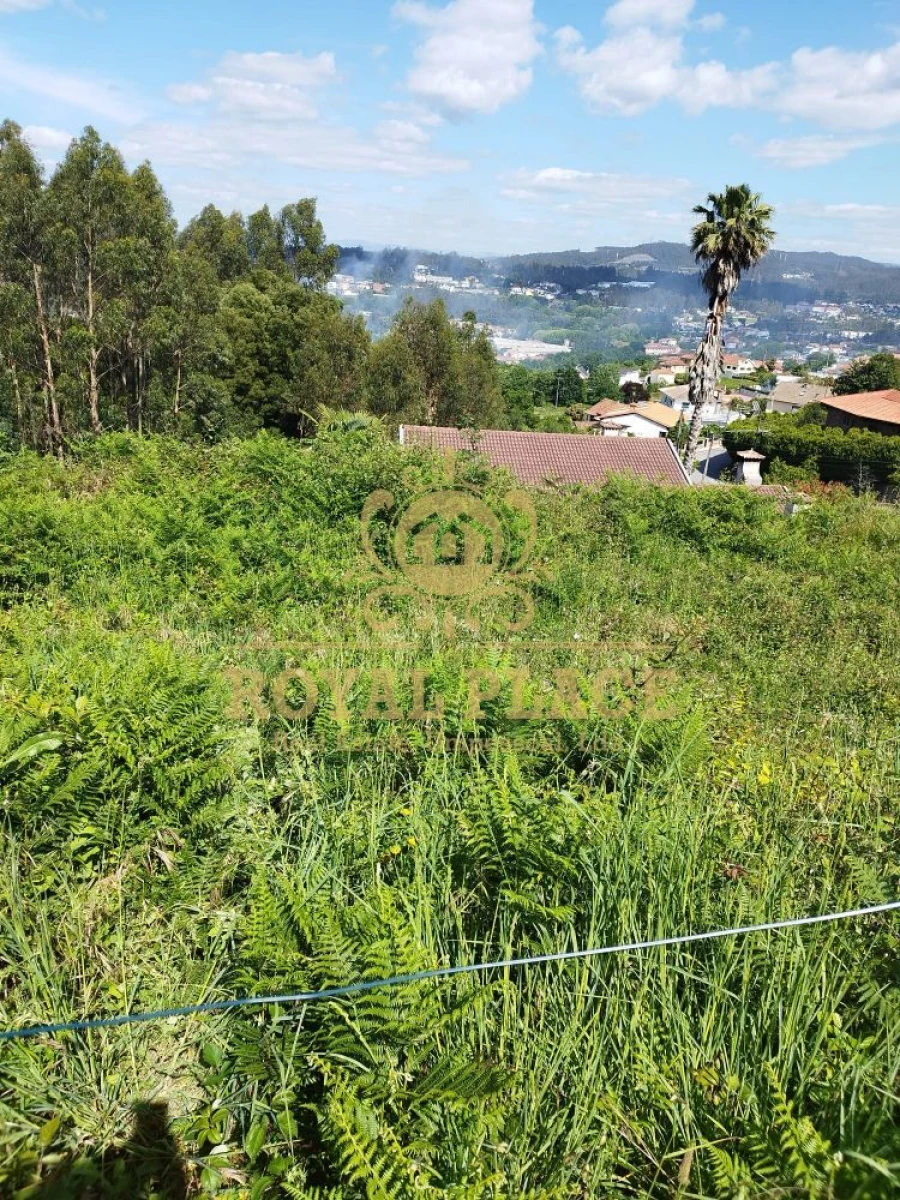 Terreno para Venda em Caldas de São Jorge e Pigeiros Foto 3