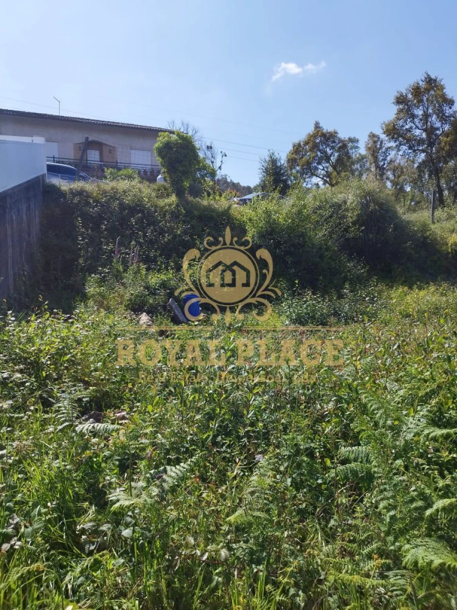 Terreno para Venda em Caldas de São Jorge e Pigeiros Foto 10