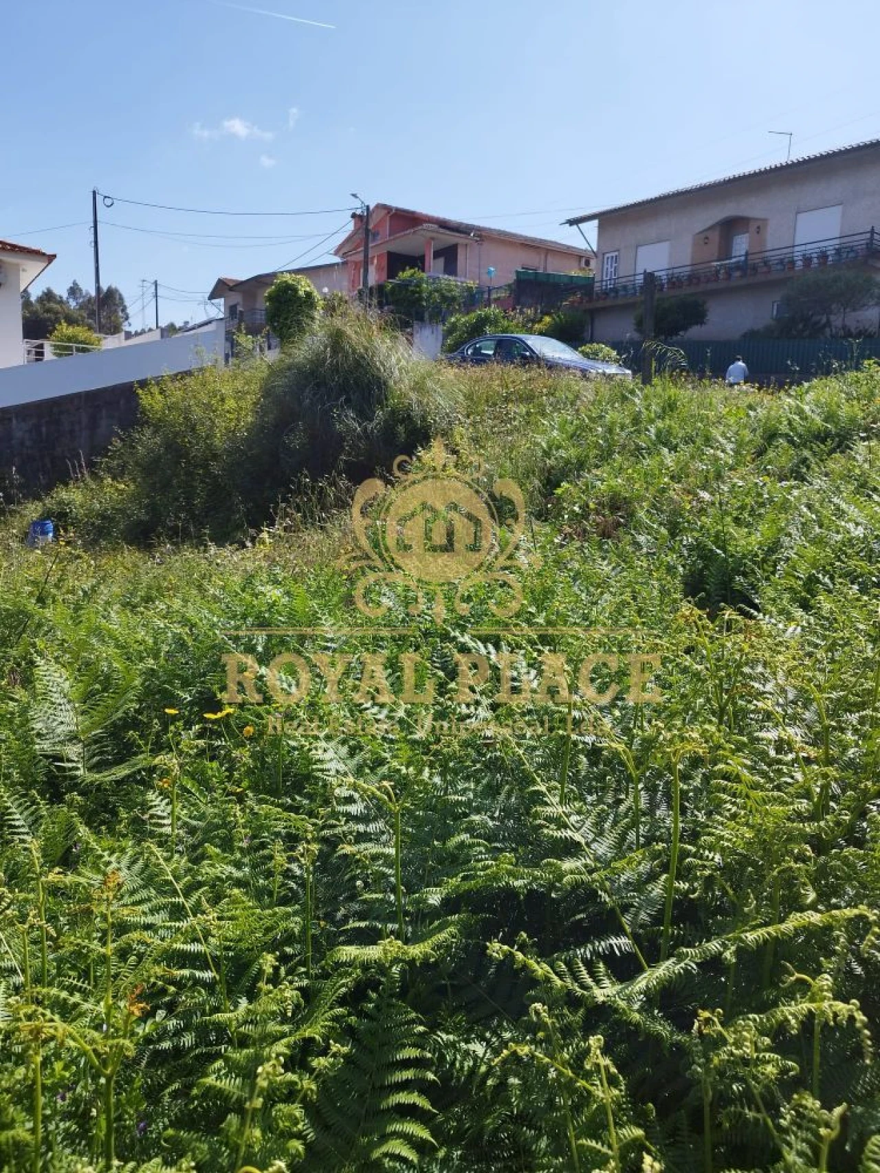 Terreno para Venda em Caldas de São Jorge e Pigeiros Foto 6